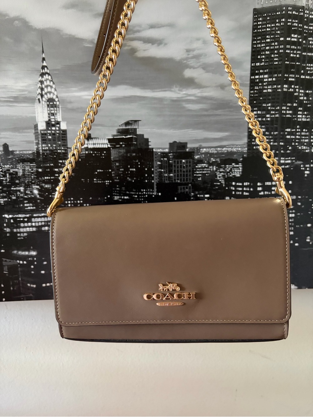 Coach Clutch Crossbody Bag (Dark Stone)